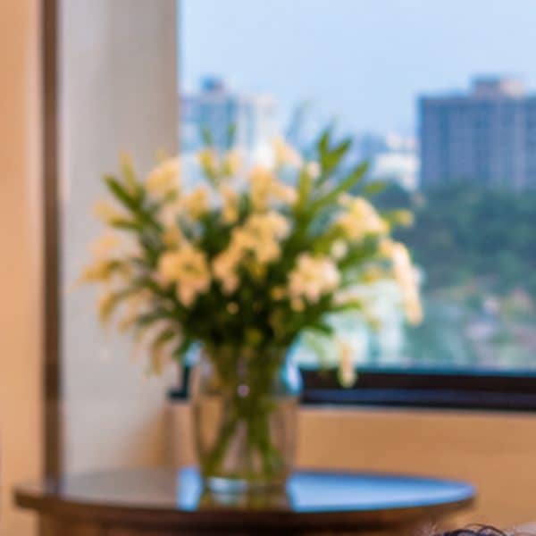 Fresh flowers in a calm spa room